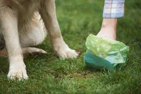 dogbagspoop