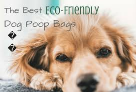 dogbagspoop